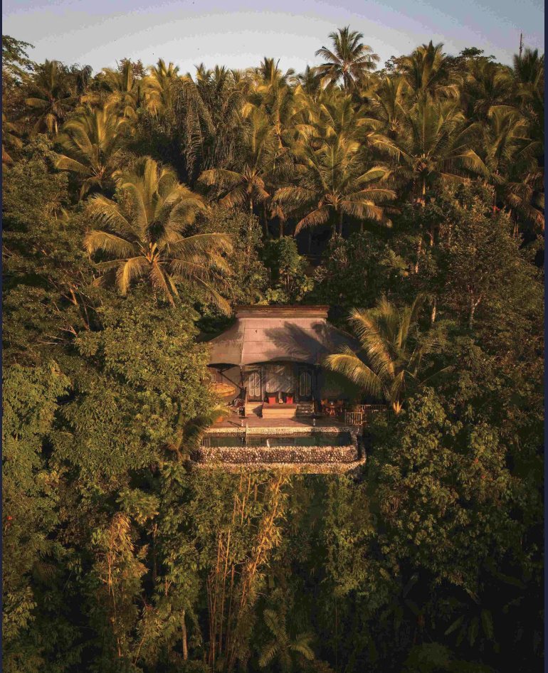 Capella Ubud retreat surrounded by rainforest